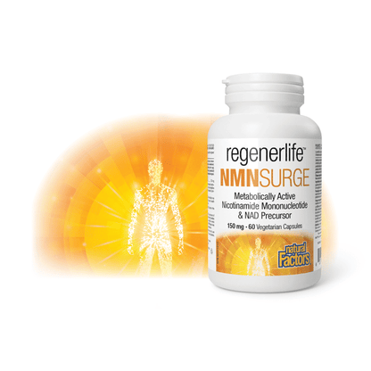 NMNSurge 150 mg, Regenerlife, image-lifestyle