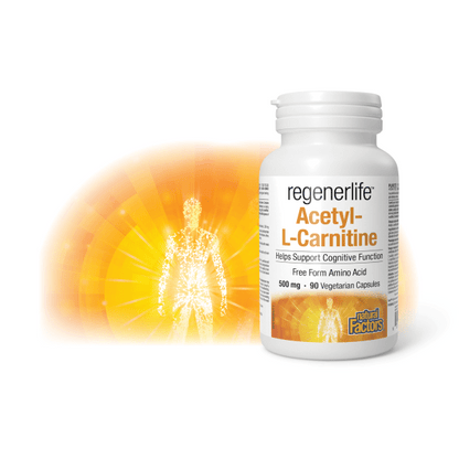 Acetyl-L-Carnitine - Regenerlife Canada Acetyl-L-Carnitine - Regenerlife Canada